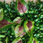 1pc Artificial Green Plant Wall Panels Simulation Plant Background Wall Decoration 3D Bionic Plant Outdoor Lawn, Fake Grass - Image 3