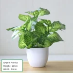 Artificial Plants Bonsai Fake Plants  Home Decoration Accessories  Plant  Plant Pot  Office Decoration  Living Room Decoration - Image 7