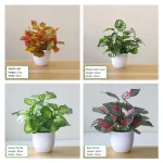 Artificial Plants Bonsai Fake Plants  Home Decoration Accessories  Plant  Plant Pot  Office Decoration  Living Room Decoration - Image 13