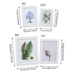 Multi-size tabletop photo frames for displaying 5, 6, 7, and 8-inch photos, suitable for placement in living rooms, bedrooms - Image 6
