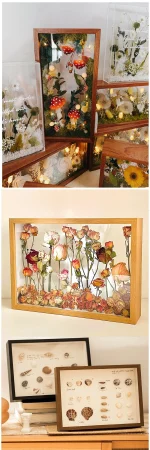 3D Wooden Picture Frames Depth 3cm 5cm Dried Flower Specimen Holder Handmade DIY Handwork Display Phote Frame Home Decoration - Image 21