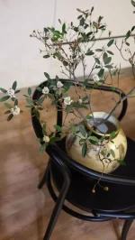 Ceramics Vases Modern Storage Flower Bottle Sculptures Elegant Room Ornaments Home Decoration Table Top Items Holiday Gifts - Image 22