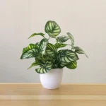 Artificial Plants Bonsai Fake Plants  Home Decoration Accessories  Plant  Plant Pot  Office Decoration  Living Room Decoration - Image 3