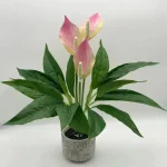 Artificial Green Plants Fake Anthurium  Potted Plants Desktop Ornaments Home Decoration Wedding Venue Decoration Fake Flowers