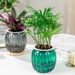 Clear Self Watering Planters Pots Modern Transparent Plants Care Pots for Garden Enthusiast Lover Gift - Image 11