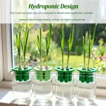 Hydroponic Vegetables Seed Planters Plant Garlic & Green Onion/Outdoor Nursery Pot  Gardening Flowers Plant Tray Growing Tool - Image 4