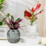 Clear Self Watering Planters Pots Modern Transparent Plants Care Pots for Garden Enthusiast Lover Gift - Image 13