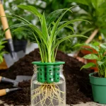 Hydroponic Vegetables Seed Planters Plant Garlic & Green Onion/Outdoor Nursery Pot  Gardening Flowers Plant Tray Growing Tool - Image 10