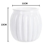 Clear Self Watering Planters Pots Modern Transparent Plants Care Pots for Garden Enthusiast Lover Gift - Image 4