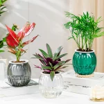 Clear Self Watering Planters Pots Modern Transparent Plants Care Pots for Garden Enthusiast Lover Gift - Image 6