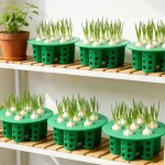 Hydroponic Vegetables Seed Planters Plant Garlic & Green Onion/Outdoor Nursery Pot  Gardening Flowers Plant Tray Growing Tool - Image 3