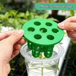 Hydroponic Vegetables Seed Planters Plant Garlic & Green Onion/Outdoor Nursery Pot  Gardening Flowers Plant Tray Growing Tool - Image 2