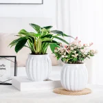 Clear Self Watering Planters Pots Modern Transparent Plants Care Pots for Garden Enthusiast Lover Gift - Image 14