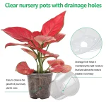 30 Packs 3.5/4/5 Inch Clear Nursery Pots, Transparent Plastic Planter with Drainage Holes, Seed Starting Pot Flower Plant Contai - Image 3