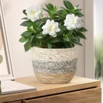 Planter Basket for Plants, Woven Container for Farmhouse Style with Waterproof Feature - Image 8