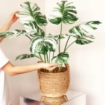 70-88CM Artificial Plants Green Plastic Monstera Fake Leaves Simulation Palm Tree Landscaping Park Hotel Home Decor Accessories - Image 3