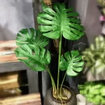 70-88CM Artificial Plants Green Plastic Monstera Fake Leaves Simulation Palm Tree Landscaping Park Hotel Home Decor Accessories - Image 5