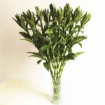 3Pcs Artificial plants bamboo Creative simulation flowers DIY Flower art Accessories home flowers decoration - Image 3