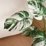 70-88CM Artificial Plants Green Plastic Monstera Fake Leaves Simulation Palm Tree Landscaping Park Hotel Home Decor Accessories - Image 2