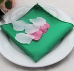 50pcs 30x30cm Rose Gold Small Satin Table Napkins Placemats Silk Dinner Cloth Napkins For Party Hotel Wedding Table Decoration - Image 12