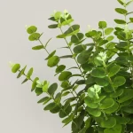 10Pc 3D Printing Eucalyptus Leaves Artificial Plants Wedding Road Leads Flower Arrangement Home Decoration Party Eucalyptus Leaf - Image 2