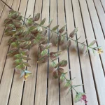10Pc 3D Printing Eucalyptus Leaves Artificial Plants Wedding Road Leads Flower Arrangement Home Decoration Party Eucalyptus Leaf - Image 8
