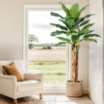 Artificial Banana Tree 7FT/6FT/5FT, Faux Banana Tree with Grey Planter, Artificial Plants with Fake Banana Leaves Plant for Home - Image 5