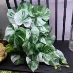 Green Artificial Plants Simulation Wall Hanging Fake Leaf Rattan Real Turtle Rattan Wedding Hotel Party Home Decor Accessori