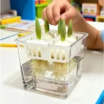 1/3pcs Hydroponic Planter Tulip Bulb Planter Tulip Grow 5 Hole Hydroponic Flower Pot with Reservoir Indoor Table Decoration Pot - Image 2