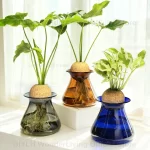 Nordic Style Glass Vase Home Decoration Vase Transparent Hydroponic Plant Flower Arrangement Small Vase Tabletop Decor Ornaments - Image 6