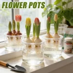 1/3pcs Hydroponic Planter Tulip Bulb Planter Tulip Grow 5 Hole Hydroponic Flower Pot with Reservoir Indoor Table Decoration Pot - Image 4