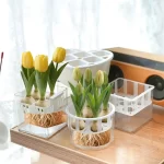 1/3pcs Hydroponic Planter Tulip Bulb Planter Tulip Grow 5 Hole Hydroponic Flower Pot with Reservoir Indoor Table Decoration Pot - Image 3