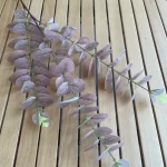 10Pc 3D Printing Eucalyptus Leaves Artificial Plants Wedding Road Leads Flower Arrangement Home Decoration Party Eucalyptus Leaf - Image 4