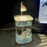 Glass Mini Fish Tank With Ice Crystals And Pearl Rhinestone Desktop Eco Betta Aquarium Complete Set For Home Table Decor Gift - Image 10