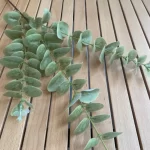 10Pc 3D Printing Eucalyptus Leaves Artificial Plants Wedding Road Leads Flower Arrangement Home Decoration Party Eucalyptus Leaf - Image 9