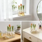 1/3pcs Hydroponic Planter Tulip Bulb Planter Tulip Grow 5 Hole Hydroponic Flower Pot with Reservoir Indoor Table Decoration Pot - Image 6