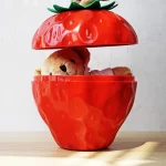 Strawberry Shape Storage and Organization Box Fruit Plate Modern Creative Specialty Plates Pastoral Round Household Snack Box