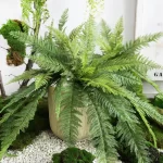 Large Artificial Plants Boston Fern Bunch Persian Leaves Bunch Fake Green Plants Fake Leaves Craft Fake Foliage Home Decor - Image 3