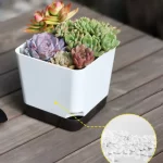 5Pcs Plant Pots, Self Watering Flower Pots Indoor Outdoor, Self Watering Planters with Drainage Hole & Clear Saucer Reservoir - Image 5