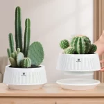 Meshpot Round Black White Succulent Planter Pots - Breathable Aerated Root Control Flower Pots for Cactus Plants Bonsai Planter - Image 6