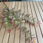 10Pc 3D Printing Eucalyptus Leaves Artificial Plants Wedding Road Leads Flower Arrangement Home Decoration Party Eucalyptus Leaf - Image 11