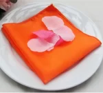 50pcs 30x30cm Rose Gold Small Satin Table Napkins Placemats Silk Dinner Cloth Napkins For Party Hotel Wedding Table Decoration - Image 15