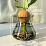 Nordic Style Glass Vase Home Decoration Vase Transparent Hydroponic Plant Flower Arrangement Small Vase Tabletop Decor Ornaments - Image 3