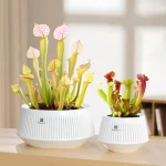 Meshpot Round Black White Succulent Planter Pots - Breathable Aerated Root Control Flower Pots for Cactus Plants Bonsai Planter - Image 5
