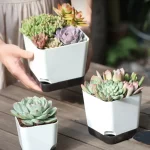 5Pcs Plant Pots, Self Watering Flower Pots Indoor Outdoor, Self Watering Planters with Drainage Hole & Clear Saucer Reservoir - Image 2