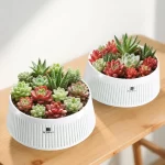 Meshpot Round Black White Succulent Planter Pots - Breathable Aerated Root Control Flower Pots for Cactus Plants Bonsai Planter