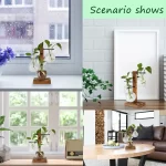 Hydroponic Plant Glass Vase, Modern Desktop Plant Terrarium Planter Bulb Water Planting Propagation Planters Hydroponics Plants - Image 3