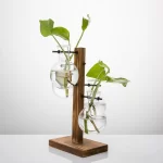 Hydroponic Plant Glass Vase, Modern Desktop Plant Terrarium Planter Bulb Water Planting Propagation Planters Hydroponics Plants - Image 2