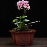 Chinese Antique Purple Clay Relief Flowerpot Tabletop Bonsai Pots Square Macetero Vintage Balcony Decoration Succulent Planters - Image 2