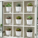 1/5pcs Transparent Self-Watering Plant Flower Pot Lazy Hydroponic Flowerpot Plastic Planters Home Garden Decoraction Planters - Image 4